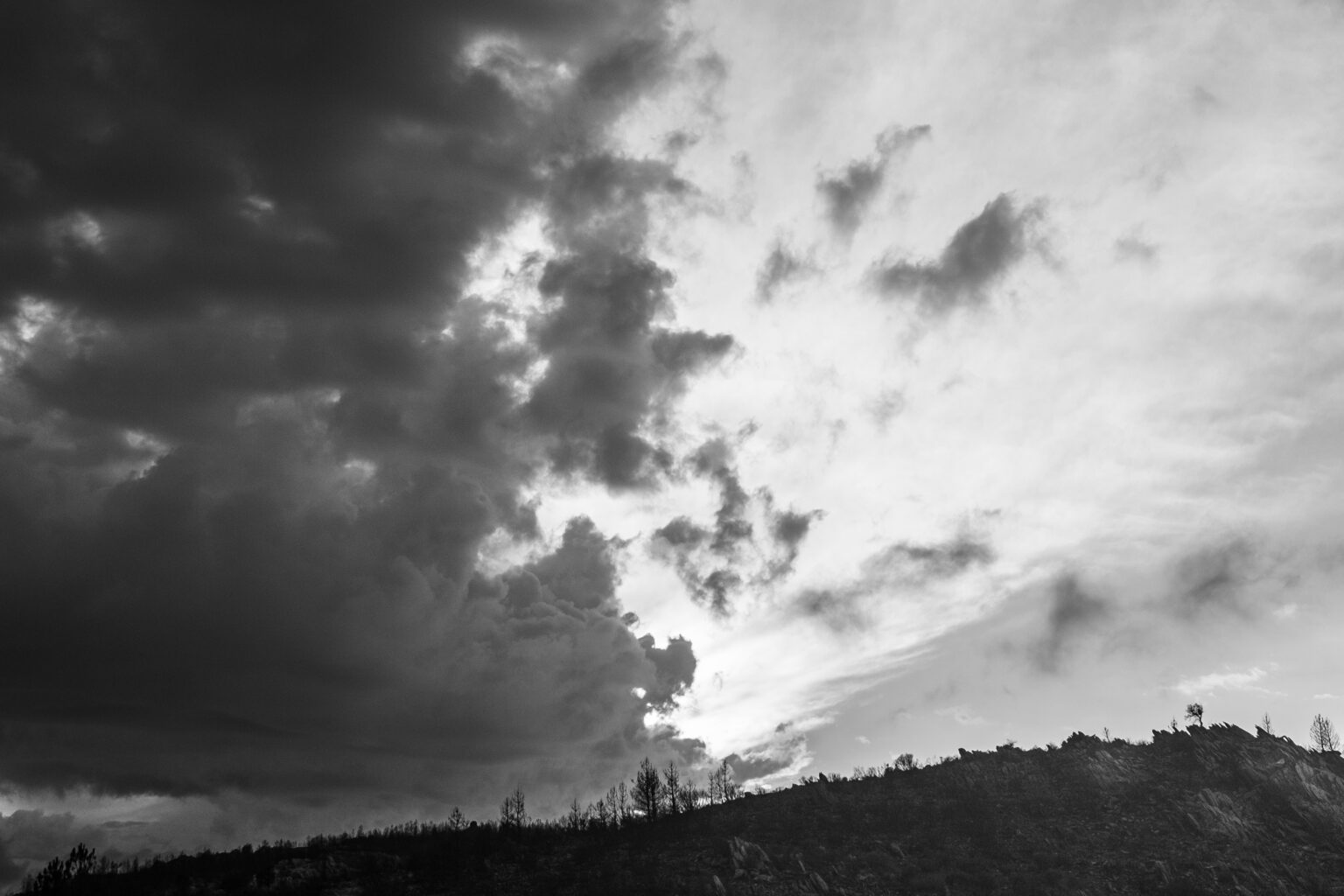 DSCF8781